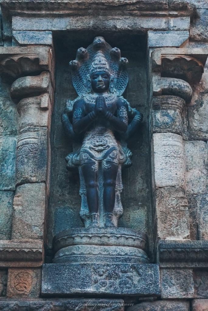 Nagaraja